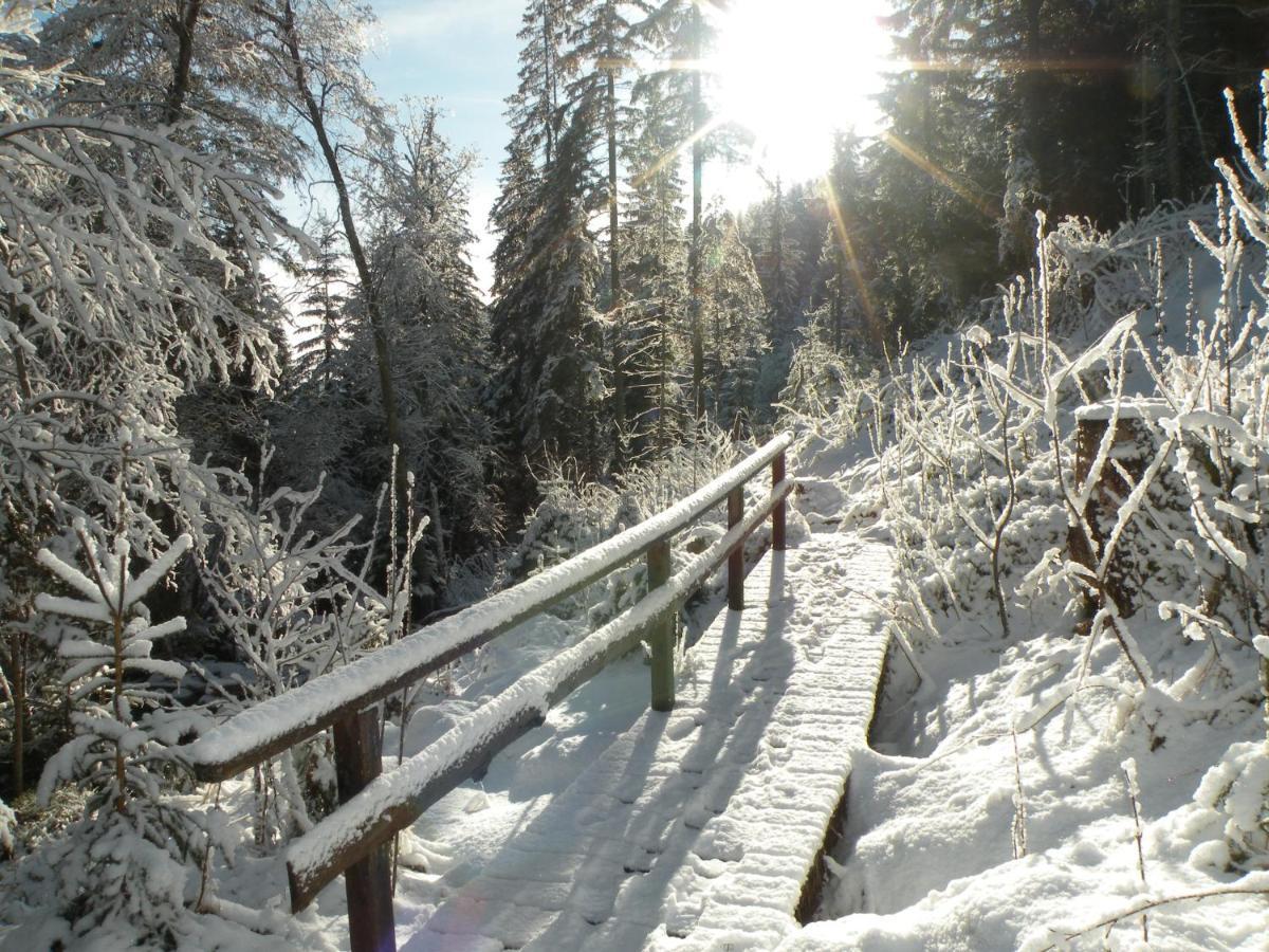 Willa Urlaub Im Zirbenland Obdach Zewnętrze zdjęcie