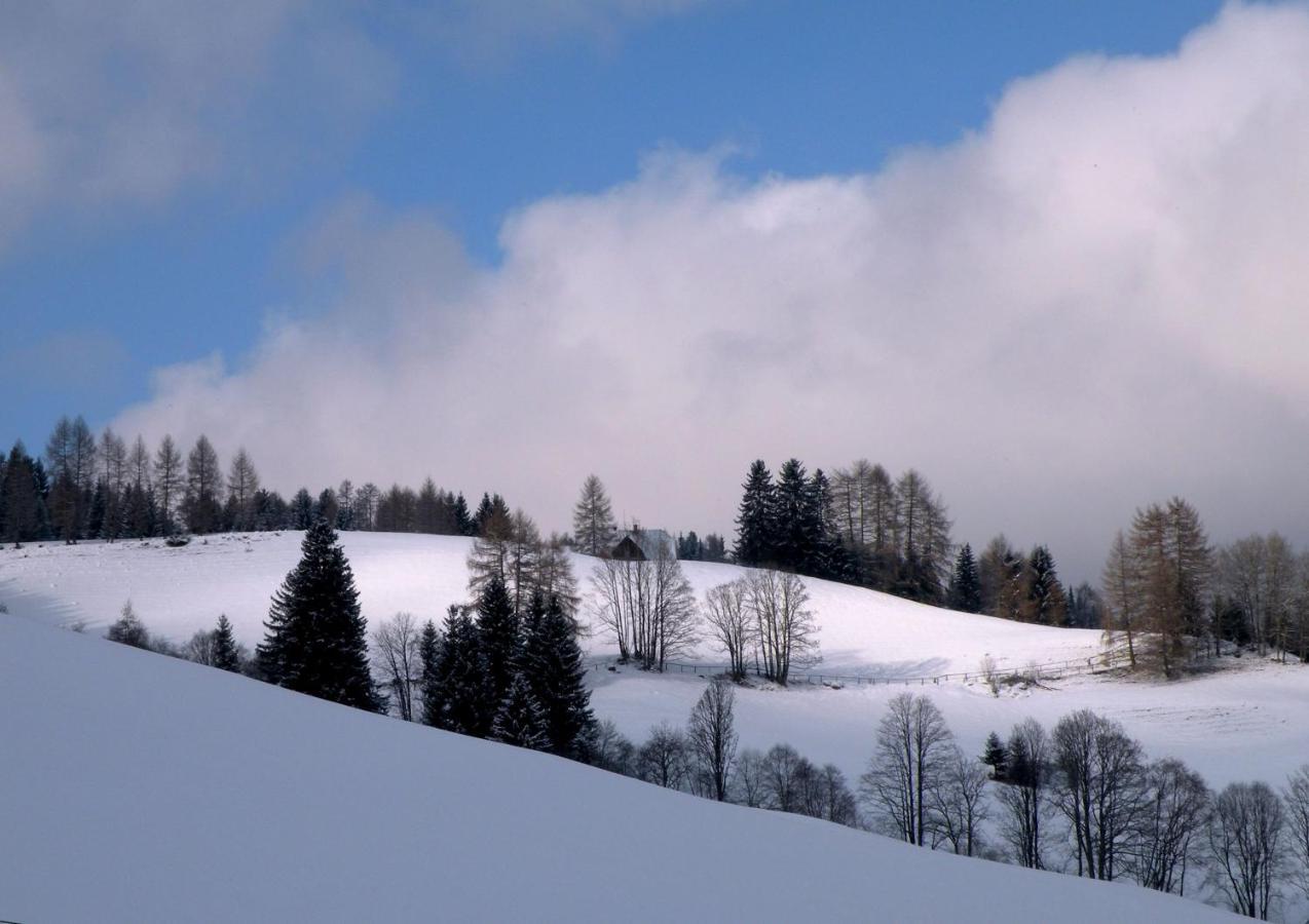 Willa Urlaub Im Zirbenland Obdach Zewnętrze zdjęcie