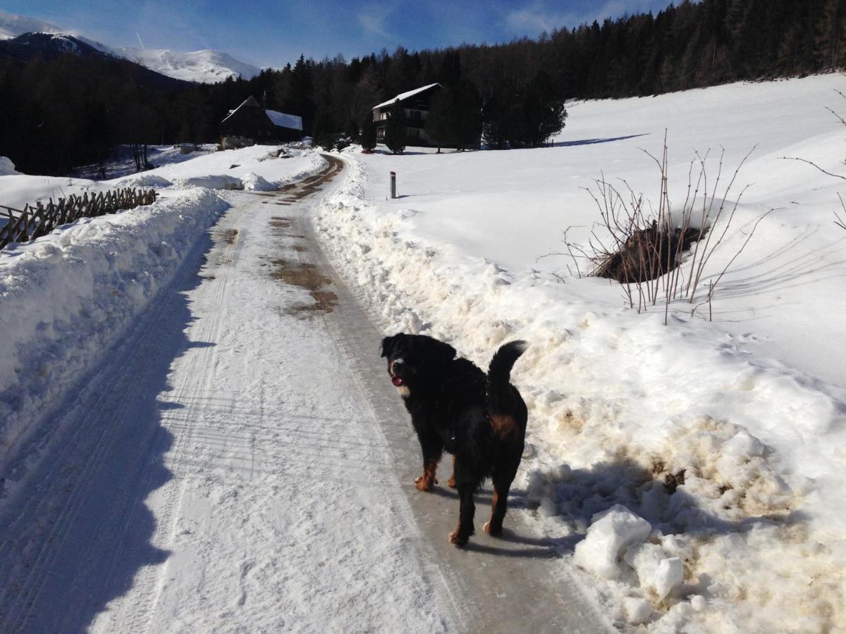 Willa Urlaub Im Zirbenland Obdach Zewnętrze zdjęcie