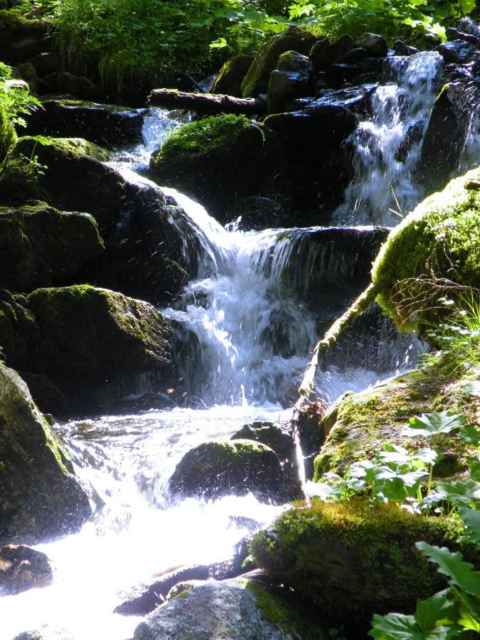 Willa Urlaub Im Zirbenland Obdach Zewnętrze zdjęcie