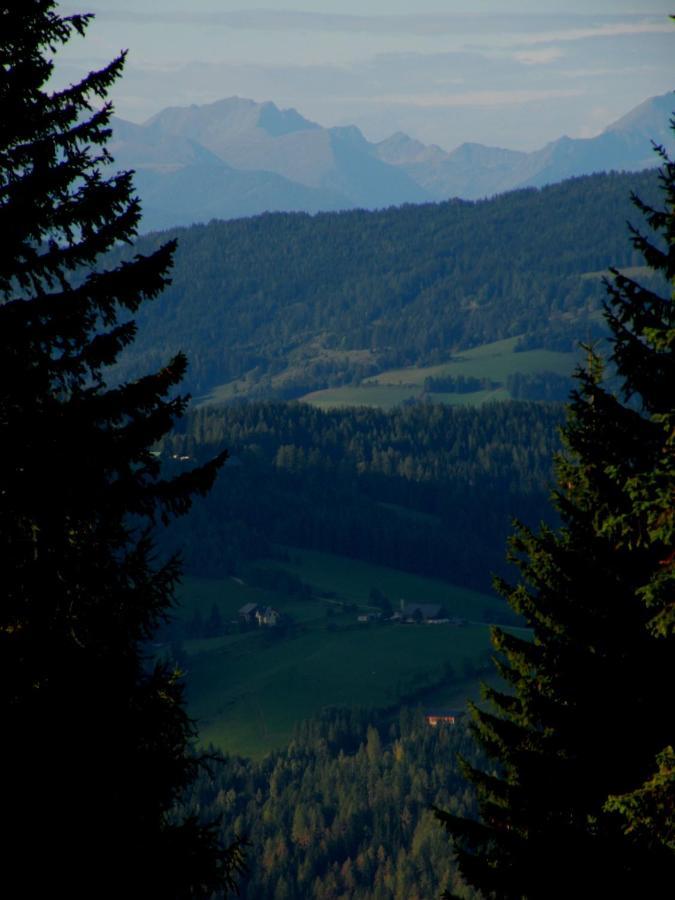 Willa Urlaub Im Zirbenland Obdach Zewnętrze zdjęcie