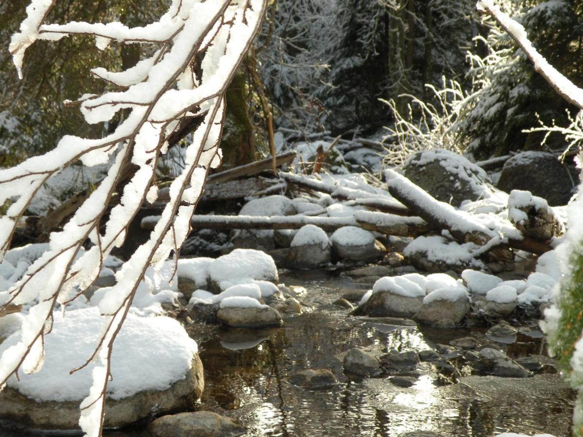 Willa Urlaub Im Zirbenland Obdach Zewnętrze zdjęcie